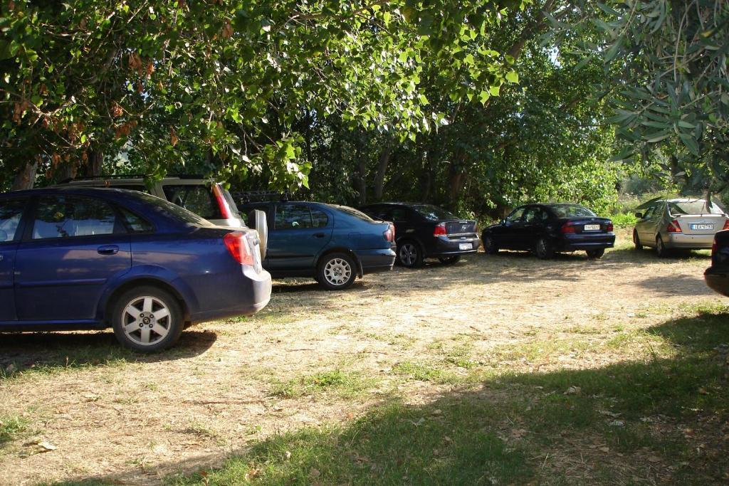 Porto Thassos Apartments & Studios Skála Potamiás Eksteriør bilde